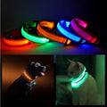 NightViz™ | Ultra-Bright Rechargeable Safety Halo