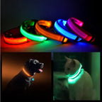NightViz™ | Ultra-Bright Rechargeable Safety Halo