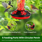 EliteNectar™ | Premium Hand-Crafted Hummingbird Oasis - Includes Ant Moat & Hanging Kit