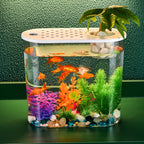 EliteView™ | Transparent Nano-Incubator - High-Clarity Ecological Fish Habitat