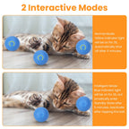 AuraPlay™ Pulse | Fast-Rolling Rechargeable Cat Ball – 360° Intelligent Evasion Toy with Stealth Pouch
