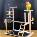 EliteRoost™ | Wild Zanthoxylum Wood Stand - Natural Texture Perch for Healthy Beaks & Claws