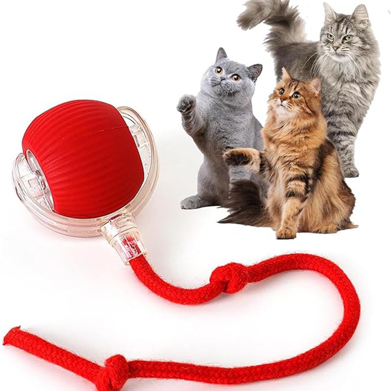EliteGlide™ | Intelligent Sensor-Driven Cat Toy - Rechargeable Electric Fitness Ball