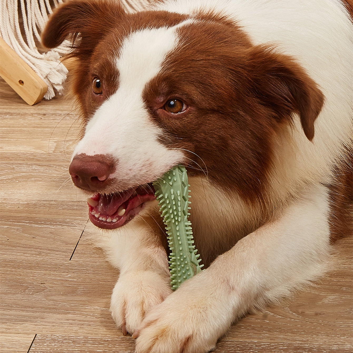 EliteGrind™ | Indestructible Dog Toothbrush Toy - Heavy-Duty Dental Health Chew