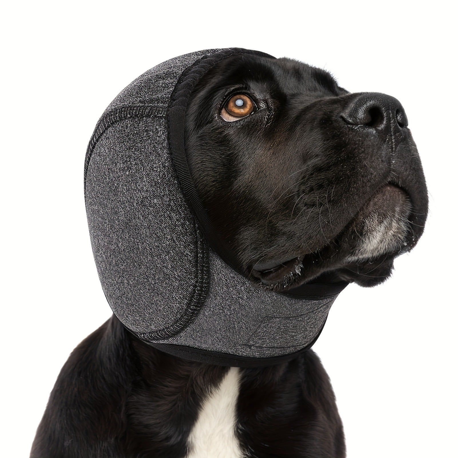 AuraGuard™ Storm-Cap | All-Weather Waterproof Head Cover – Insulated Ear Protector for Rain, Swim & Winter Comfort