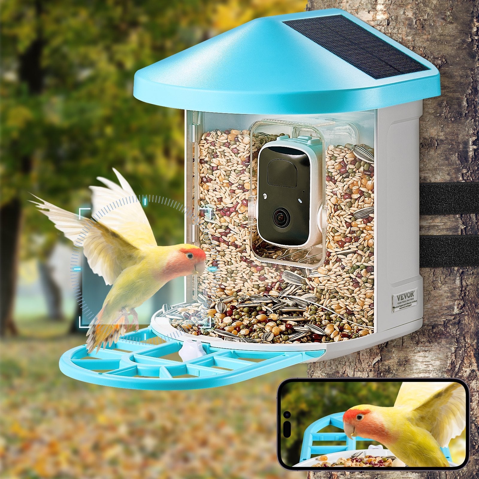 EliteVision™ AI | Solar-Powered Bird Camera - Instant Identification & Live Stream Habitat