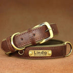 EliteArtisan™ | Genuine Leather Pet Walking Set - Soft-Padded & Durable Retro Design