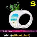 EliteLume™ | Desktop Mood Tank - Creative LED Nano Aquarium for Office & Home