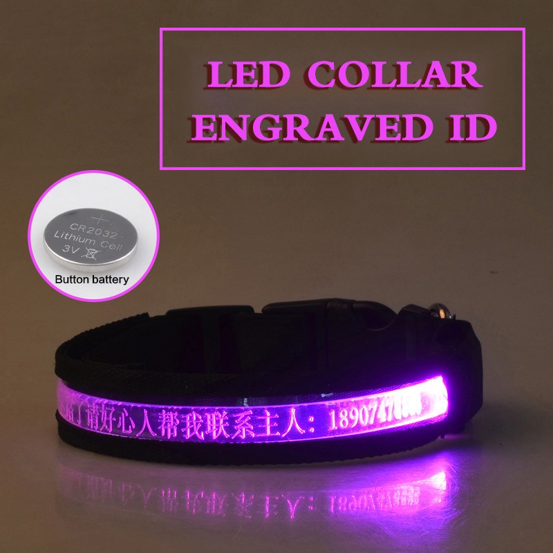 EliteLume™ | Night-Safety Radium Dog Collar - Custom Carved ID & High-Visibility
