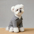AuraStyle™ Winter-Edge | Premium Faux-Layered Dog Pullover – Thermal Soft-Knit Sweater for Cold Weather Comfort