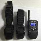StormCoach™ | Waterproof Remote & Auto-Bark Discipliner