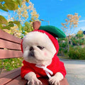 EliteSnug™ | Ultra-Soft Fruit Pet Hoodie - Premium Winter Fleece Outfit