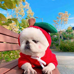 EliteSnug™ | Ultra-Soft Fruit Pet Hoodie - Premium Winter Fleece Outfit