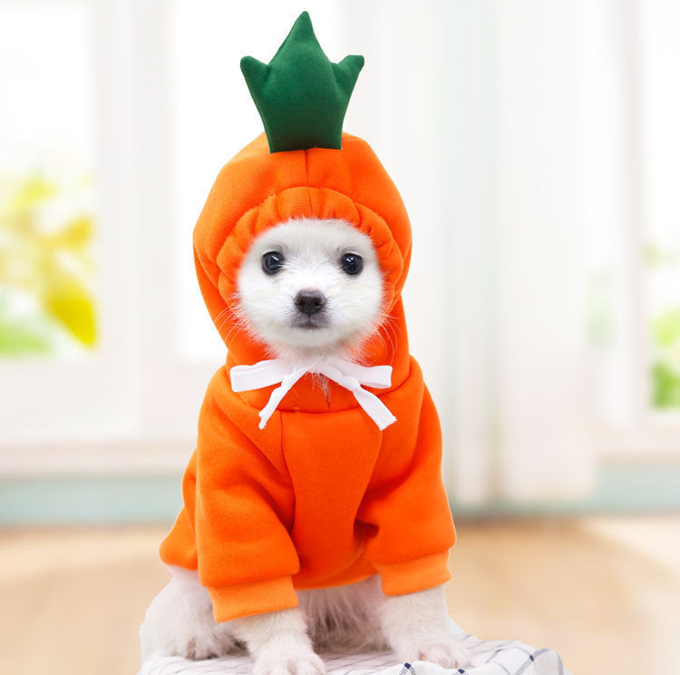 EliteSnug™ | Ultra-Soft Fruit Pet Hoodie - Premium Winter Fleece Outfit
