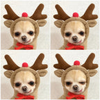 EliteSnug™ | Ultra-Soft Fruit Pet Hoodie - Premium Winter Fleece Outfit