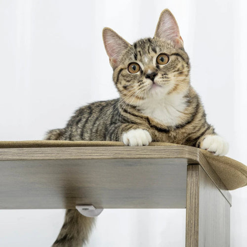 AuraEstate™ Skyline Peak | Designer Corner Cat Tower – Tall Climbing Sanctuary & Kitten-Friendly Multi-Level Play Center