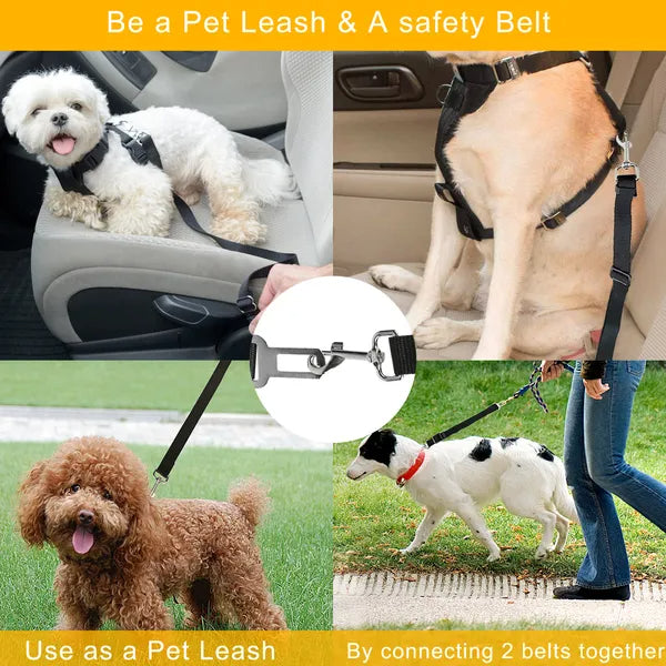 Dog safety harness and leash product with multiple uses including car seat, walking, and grass.