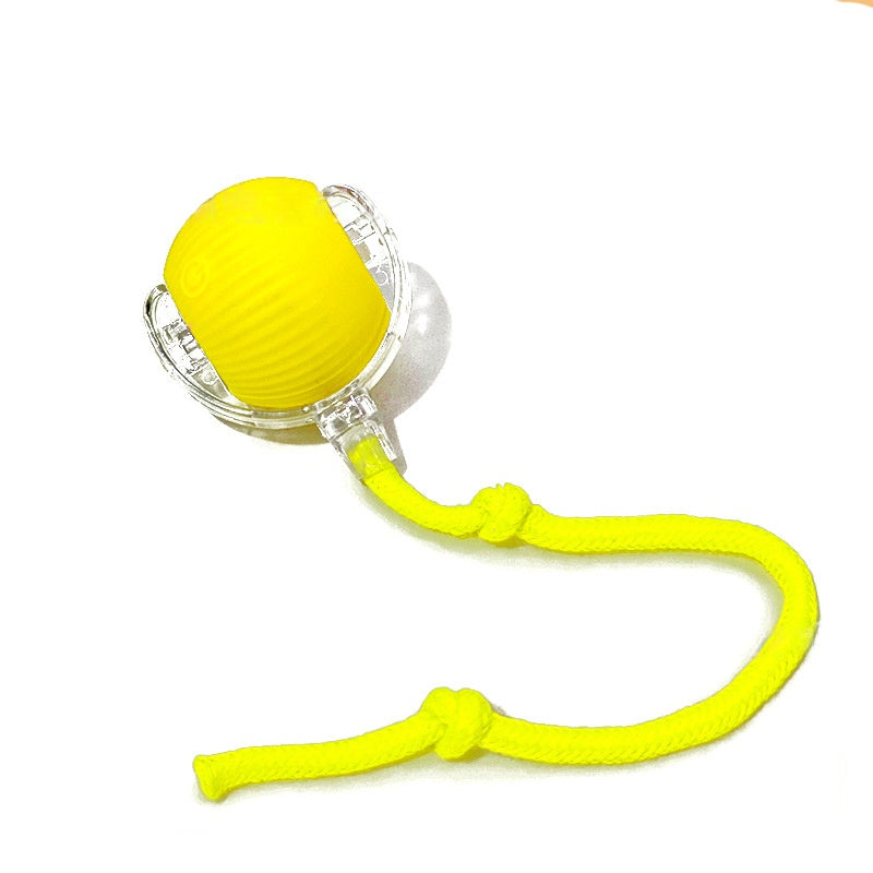 EliteGlide™ | Intelligent Sensor-Driven Cat Toy - Rechargeable Electric Fitness Ball