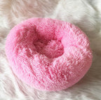 EliteRest™ | Bespoke Handcrafted Pet Bed - Custom Name Edition