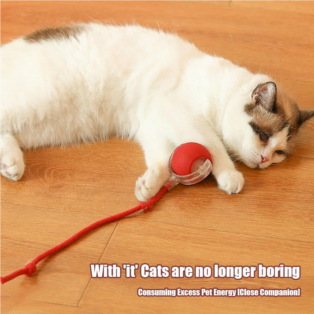 EliteSphere™ | AI-Powered Auto-Rolling Cat Ball - Interactive Obstacle Avoidance Toy