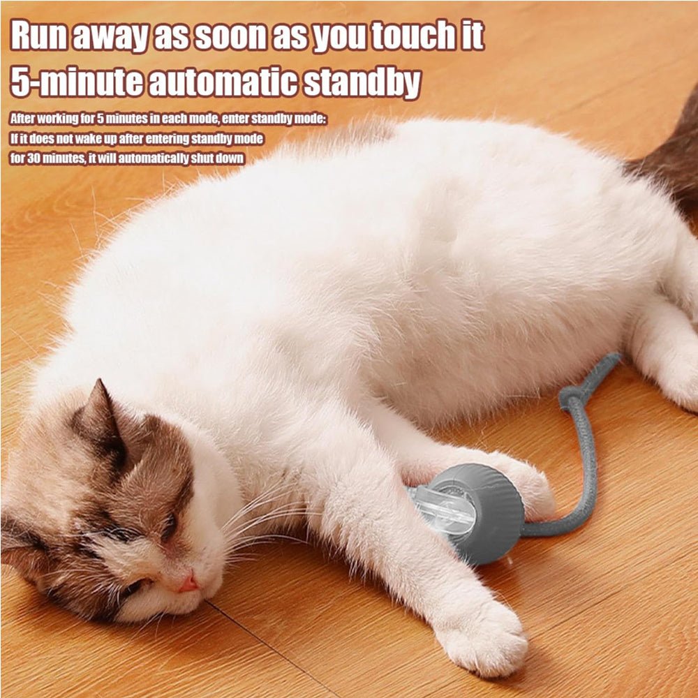 EliteSphere™ | AI-Powered Auto-Rolling Cat Ball - Interactive Obstacle Avoidance Toy