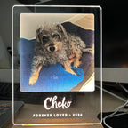 EliteHonor™ | Bespoke Pet Memorial Plaque - Eternal Tribute with Photo & Custom Date