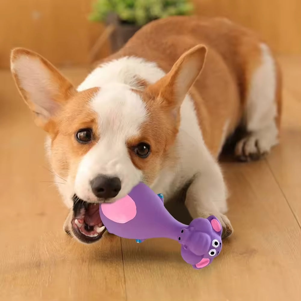 AuraPlay™ Soft-Bite Series | 4pcs Cute Sound-Emitting Latex Toys – Gentle Teething & Oral Health Set for Young Pets