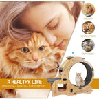 AuraPlay™ Velocity 6 | Premium Feline Gym – High-Performance Running Wheel with Integrated Play & Rest Zones