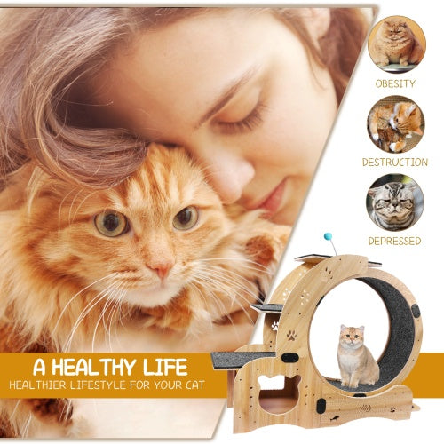 AuraPlay™ Velocity 6 | Premium Feline Gym – High-Performance Running Wheel with Integrated Play & Rest Zones