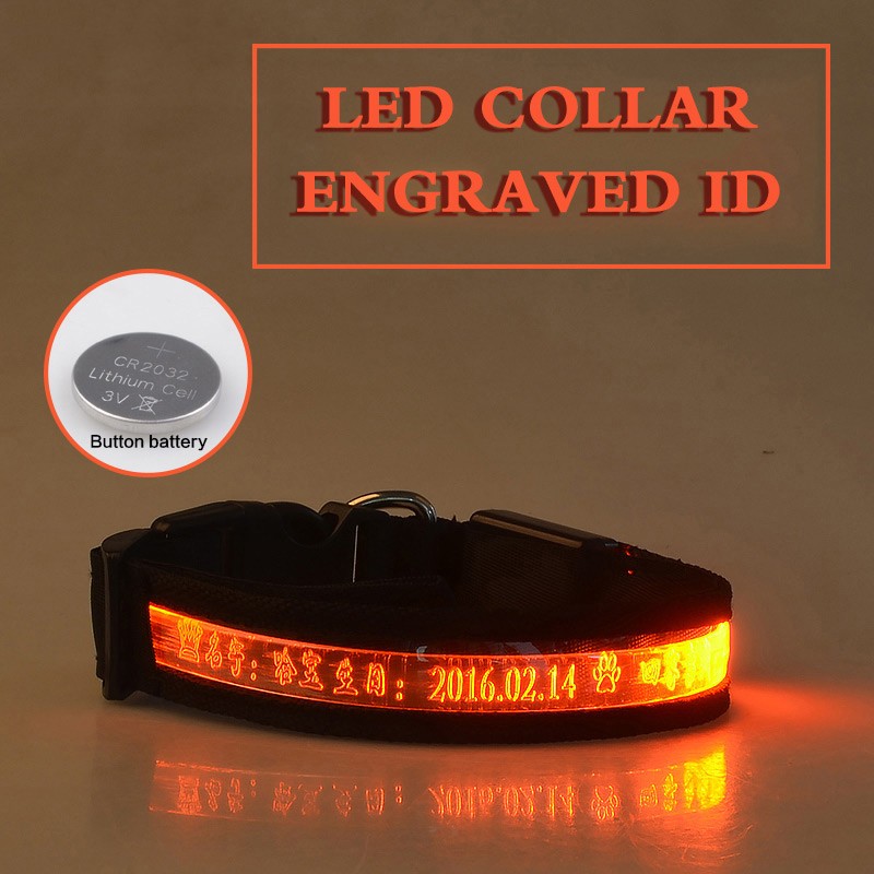 EliteLume™ | Night-Safety Radium Dog Collar - Custom Carved ID & High-Visibility