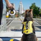 AuraGuard™ Titan-Glide | Professional Auto-Retracting Leash – One-Click Lock & Anti-Shock Safety Lead