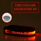 EliteLume™ | Night-Safety Radium Dog Collar - Custom Carved ID & High-Visibility