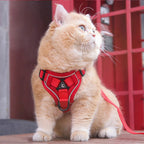 AuraGuard™ Soft-Hug | Breathable Pet Chest Strap with Reinforced Leash – 360° Safety Vest for Active Cats & Kittens