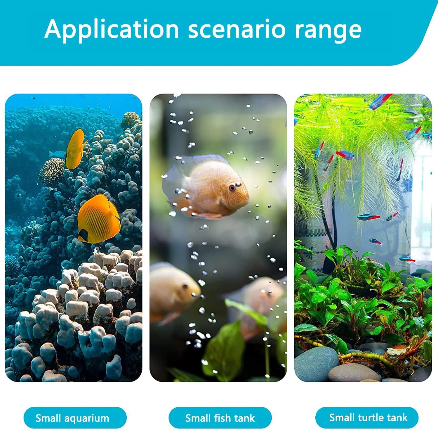 PureWave™ | Triple-Action Internal Filter - Crystal Water & Oxygen Booster