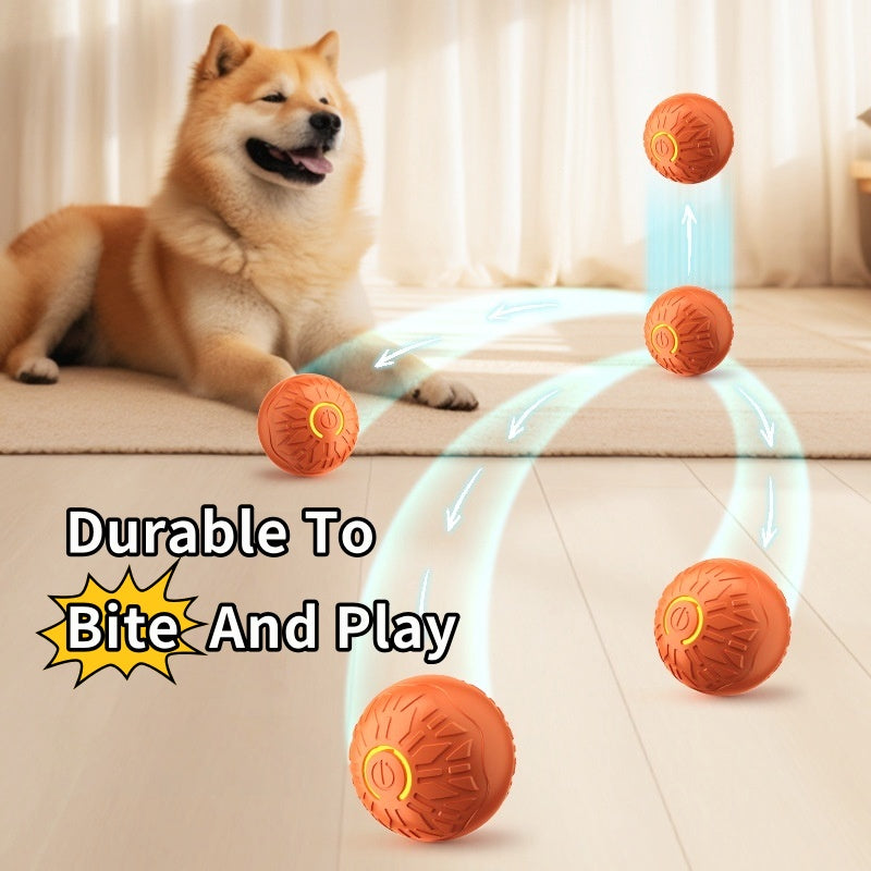 EliteActive™ | Self-Moving Dog Teasing Ball - Durable Glowing Training Toy
