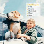 Child and dog in a car with a safety harness, against a blue sky.