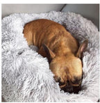 EliteRest™ | Bespoke Handcrafted Pet Bed - Custom Name Edition