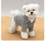 AuraStyle™ Winter-Edge | Premium Faux-Layered Dog Pullover – Thermal Soft-Knit Sweater for Cold Weather Comfort