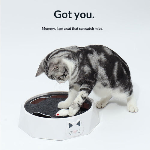 AuraPlay™ Kinetic-Tail | Intelligent Electric Cat Toy – 360° Rotating Plush Mouse for Active Play & Exercise