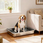 AuraPure™ Sanit-Tray | Professional Grade Stainless Steel Indoor Potty – Rust-Proof & Easy-Clean System for Small & Medium Dogs