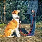 EliteLead™ | Professional Grade Nylon Leash - Reflective Safety Gear for All Sizes