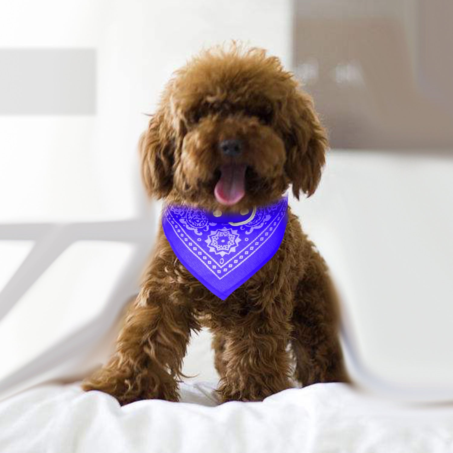 EliteCraft™ | Designer Leather Pet Scarf - Durable Adjustable Bandana Collar Set