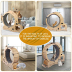 AuraPlay™ Velocity 6 | Premium Feline Gym – High-Performance Running Wheel with Integrated Play & Rest Zones