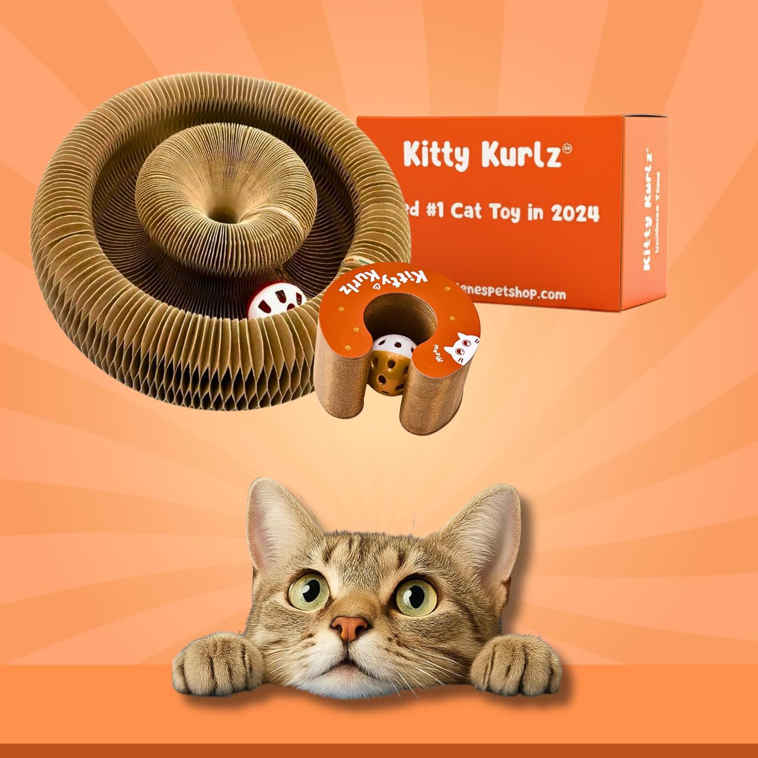 AuraPlay™ Infinity Loop | Magnetic Foldable Scratching Post – 3-in-1 Kinetic Toy & Corrugated Lounge for Indoor Cats