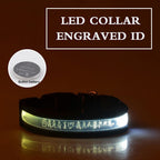 EliteLume™ | Night-Safety Radium Dog Collar - Custom Carved ID & High-Visibility