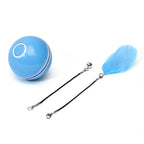 CyberChase™ | Interactive Motion-Sensing Laser Ball