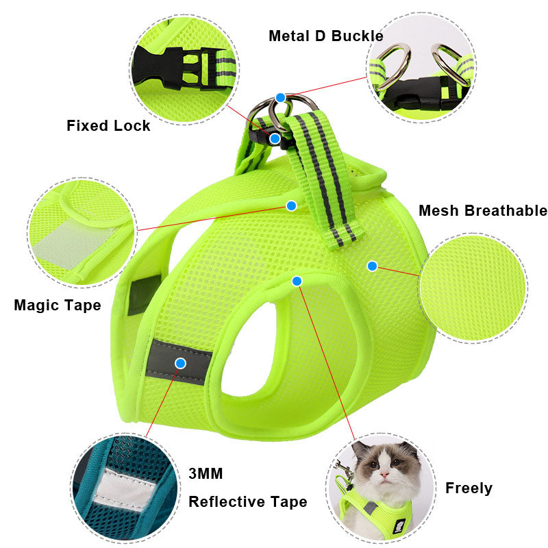 EliteSecure™ | Zero-Pressure Cat Harness - Professional Anti-Strike Walking Gear
