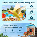 EliteVision™ AI | Solar-Powered Bird Camera - Instant Identification & Live Stream Habitat