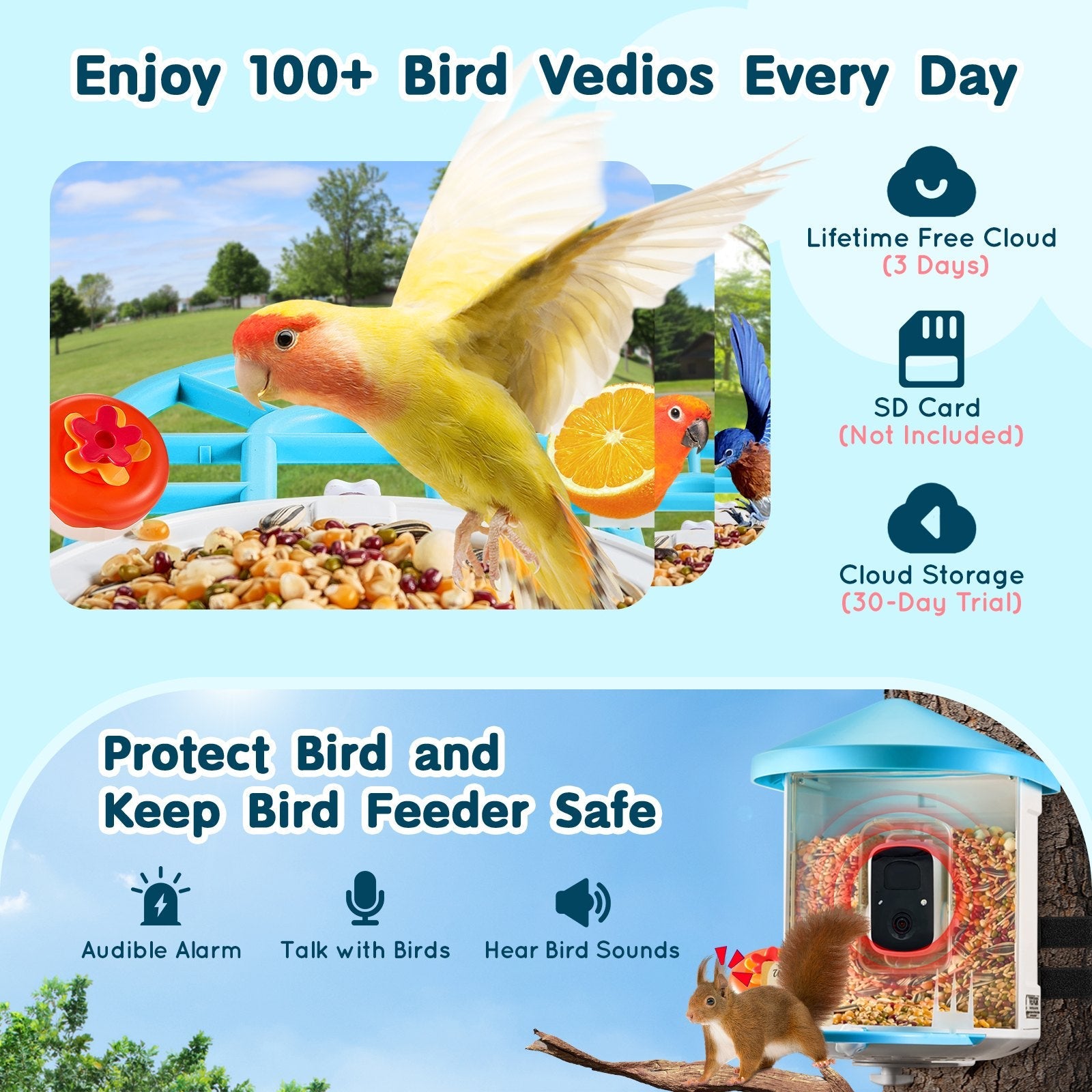 EliteVision™ AI | Solar-Powered Bird Camera - Instant Identification & Live Stream Habitat