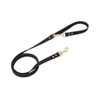 EliteSafe™ | Escape-Proof Mesh Harness - All-Day Comfort Walking Set with Heavy-Duty Leash